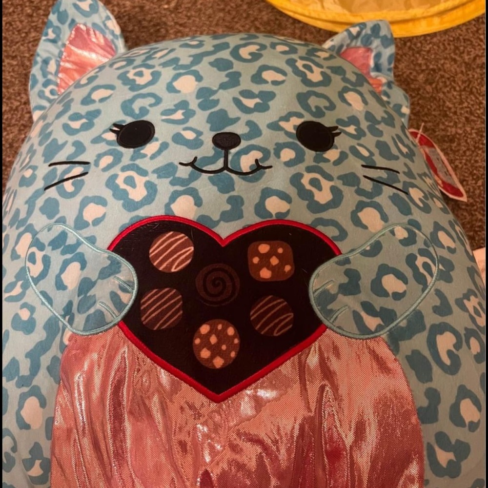 Caitroina squishmallow